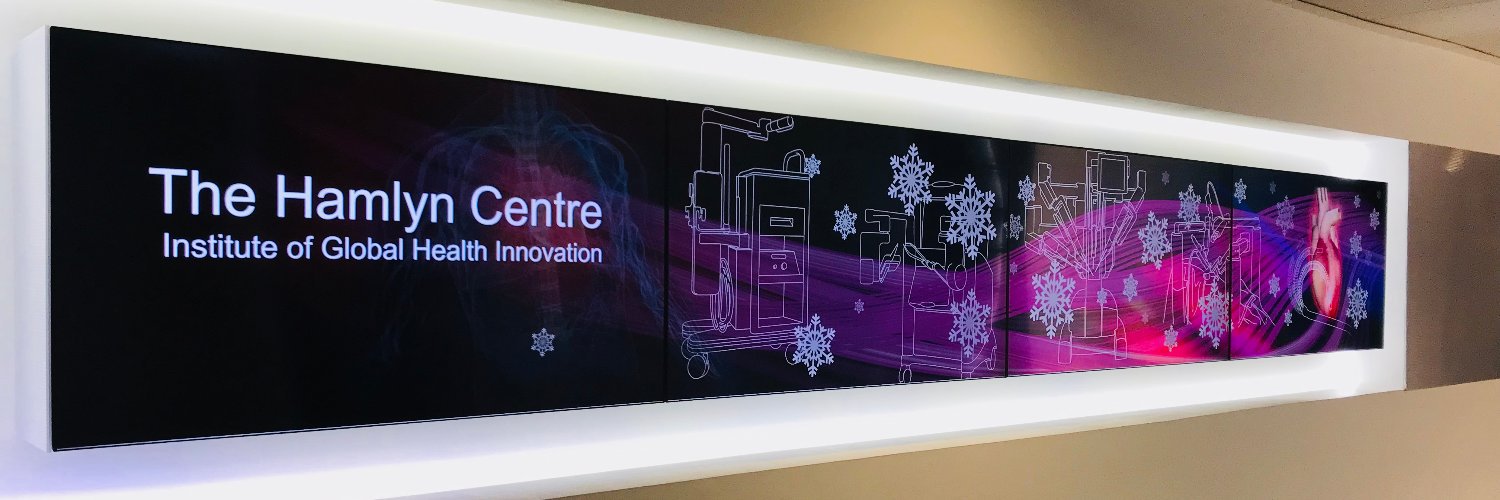 The Hamlyn Centre's banner