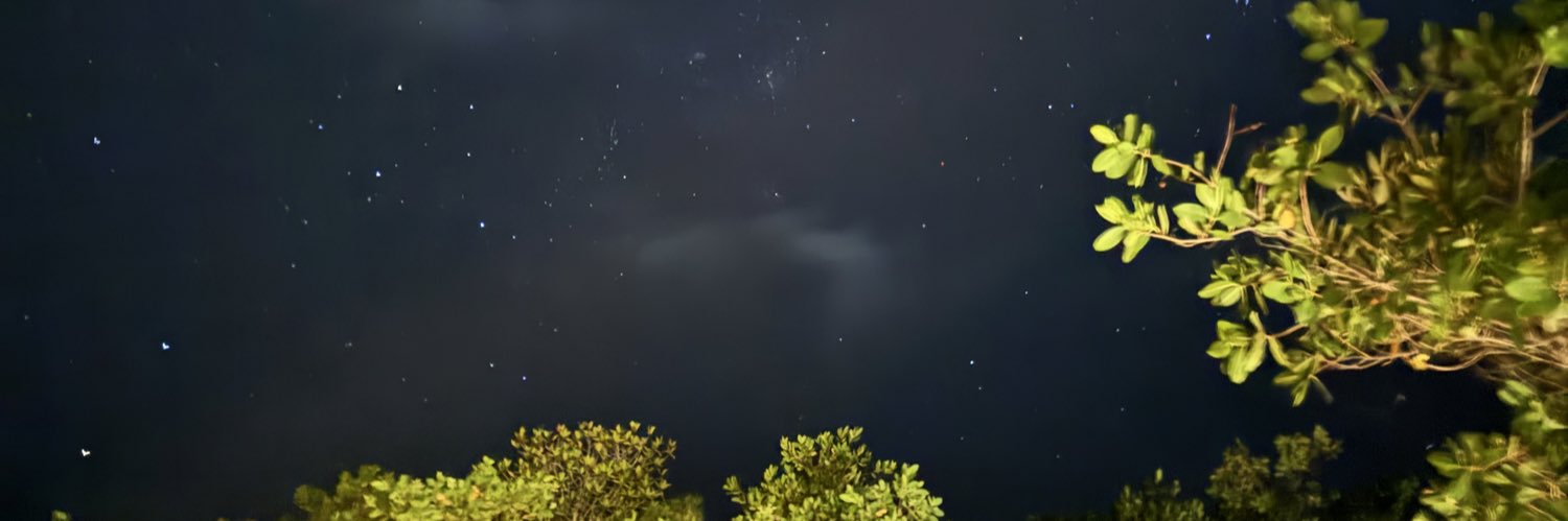 mgnavarretee's profile banner image
