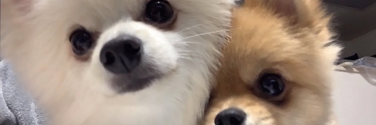 0Mskc's profile banner image