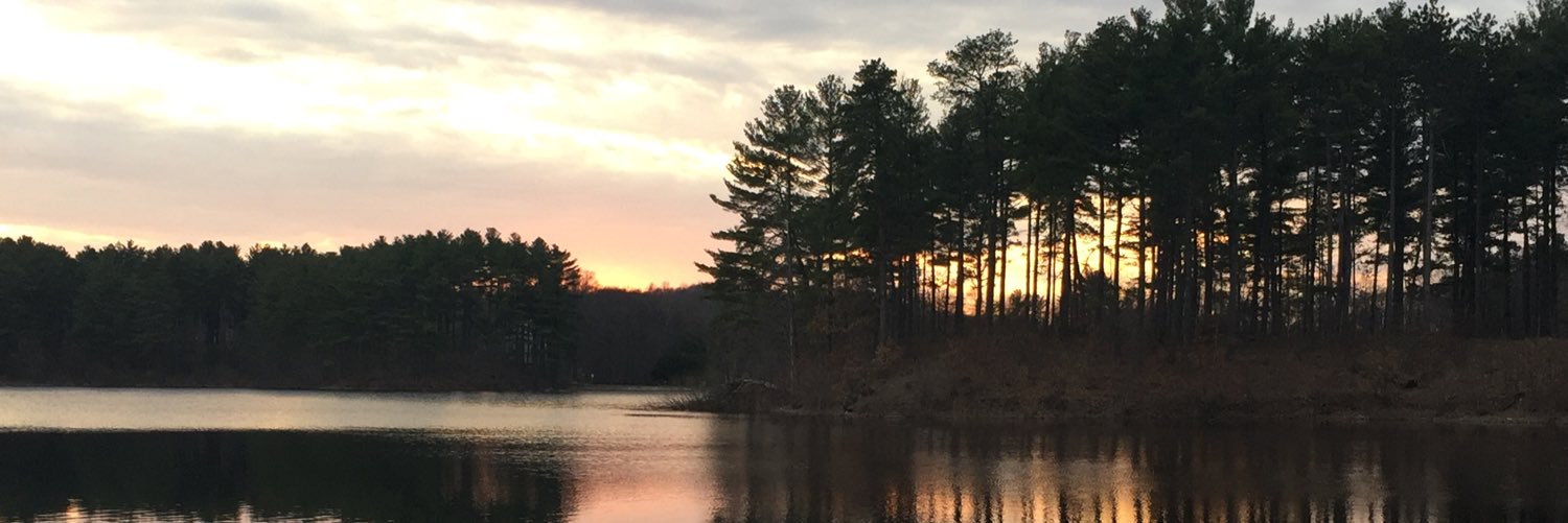 lbograd's profile banner image