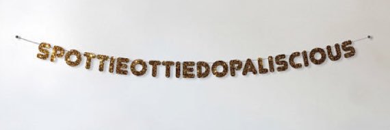 Kacie banner