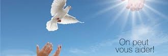 EducSteSalArts's profile banner image