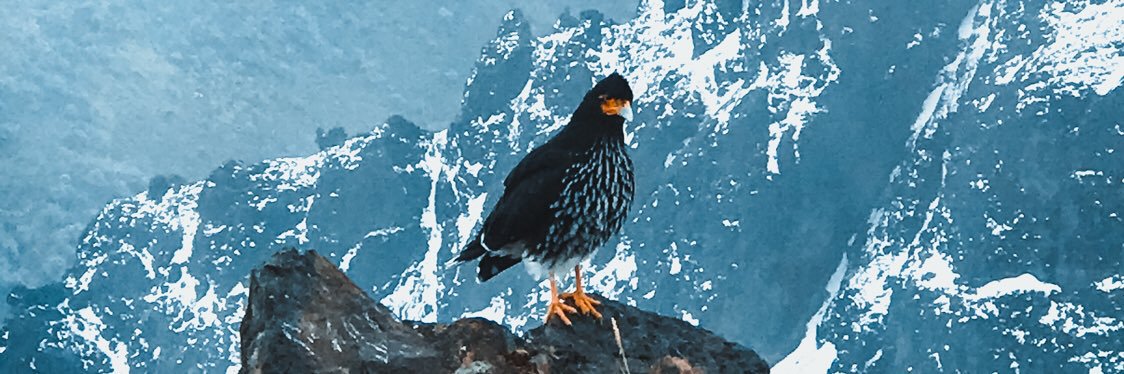 omythelastevil's profile banner image
