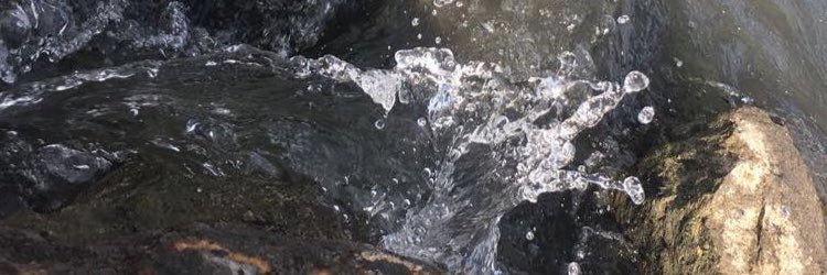 surprisedmendes's profile banner image