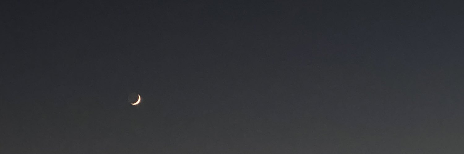 타미 banner
