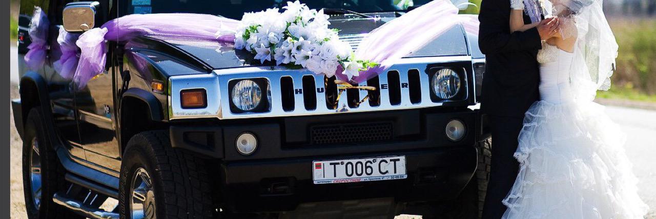 mardarchik's profile banner image