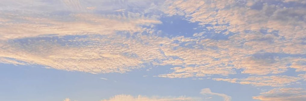 emcowxx's profile banner image