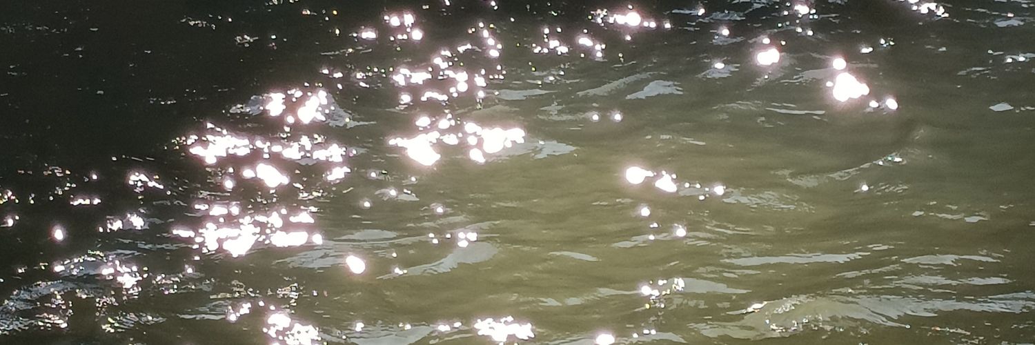 noemifaith_'s profile banner image