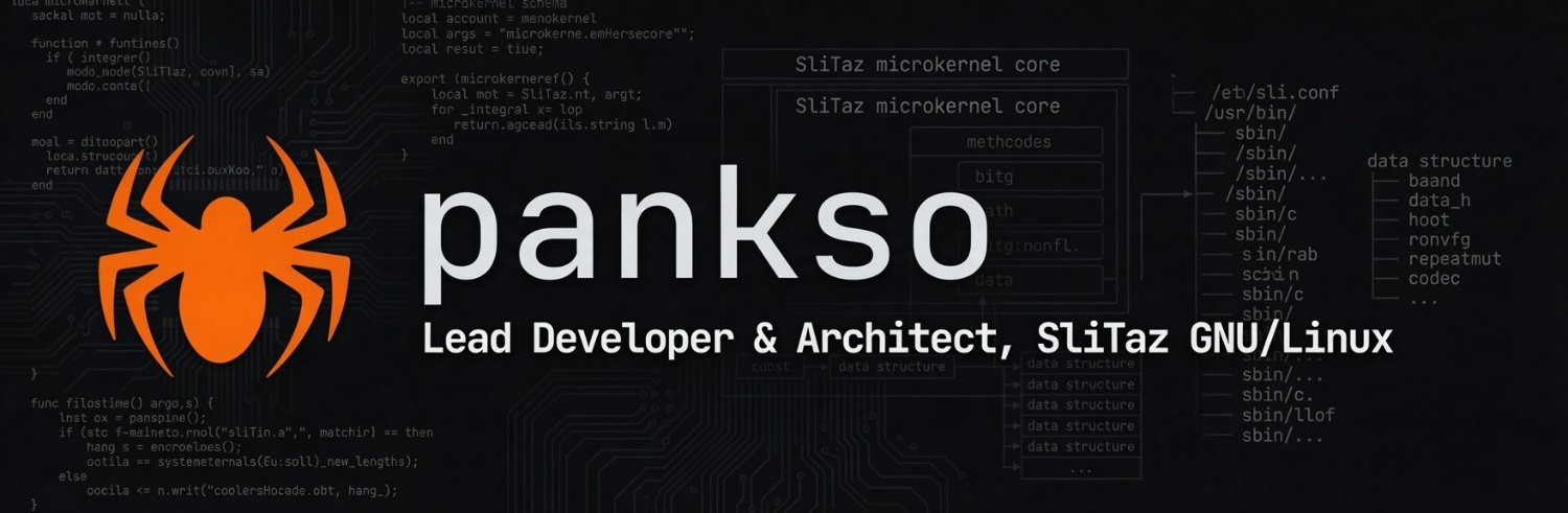 pankso's profile banner image