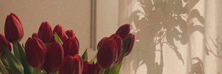 𝓈𝓌ℯℯ𝓉 𝓁𝓊𝓁𝓁𝒶𝒷𝓎 banner