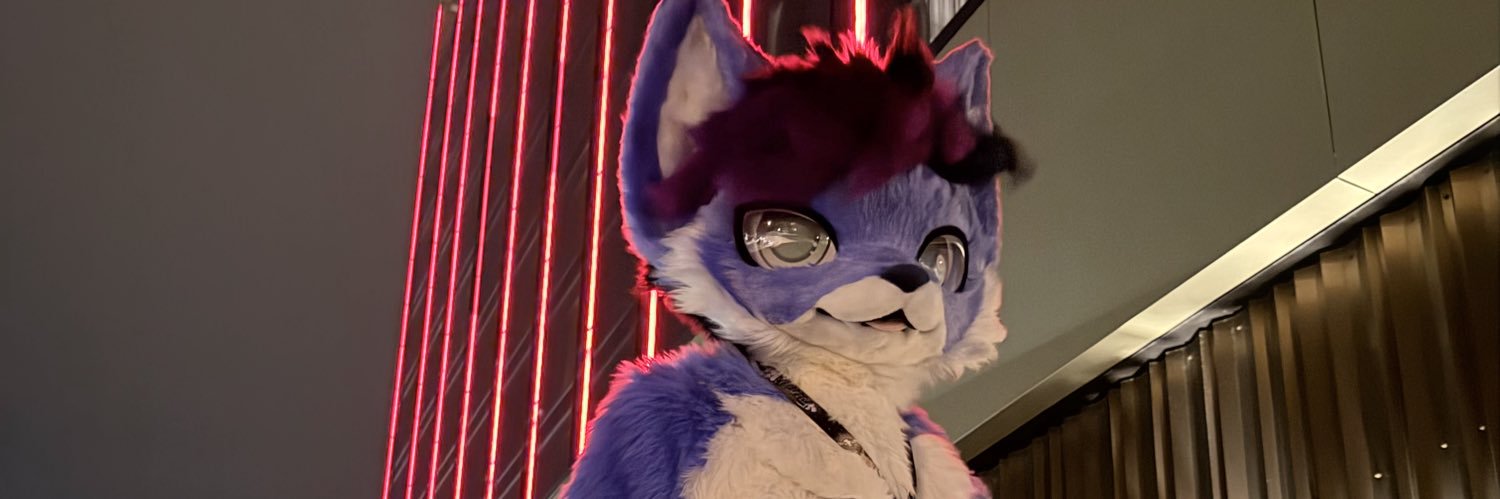 ˗ˏˋ キツネのZane ˎˊ˗ banner