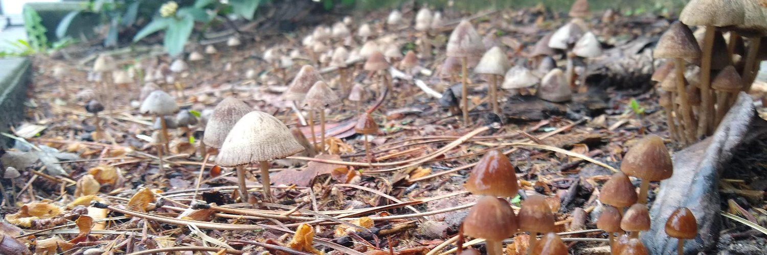 FungusAmongUs banner