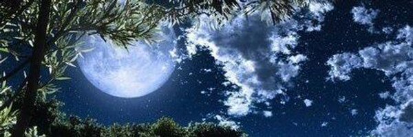 NobleStudent Profile Banner