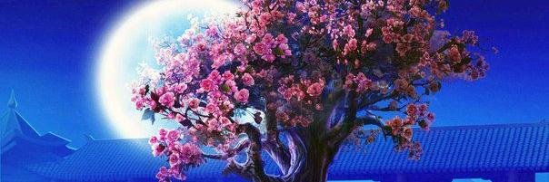 sush_parvi's profile banner image