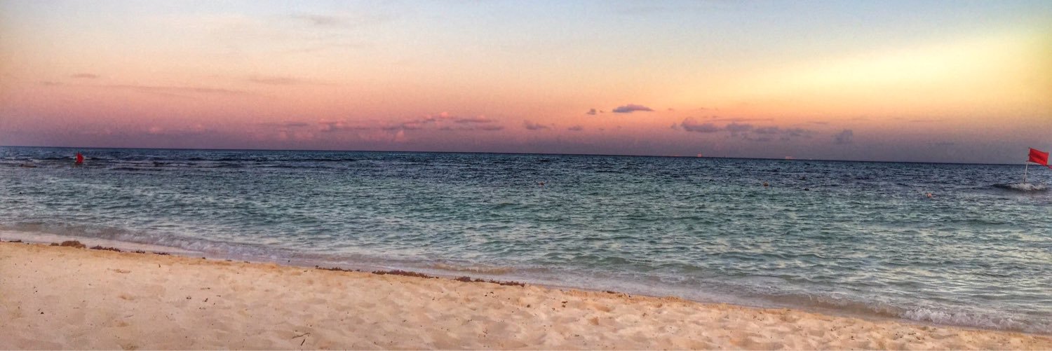 LilyBallina's profile banner image
