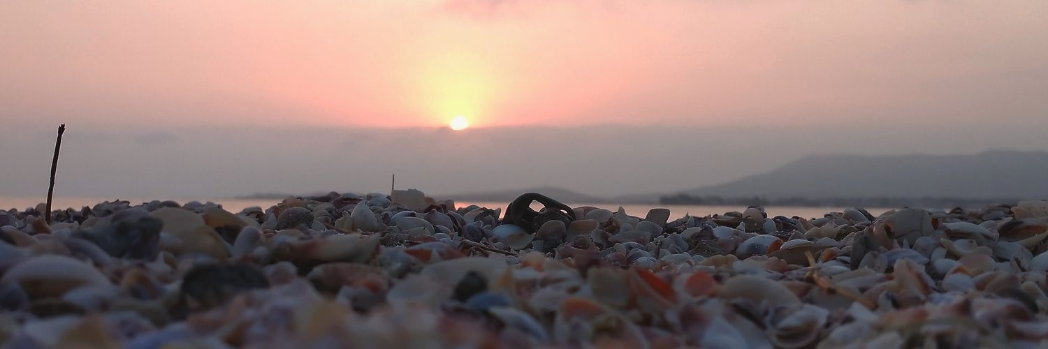 GomesClara_'s profile banner image
