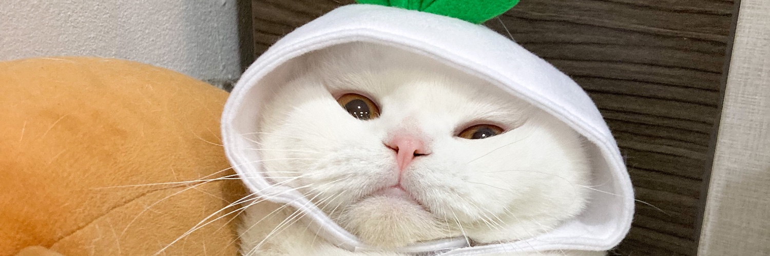 jun9kii's profile banner image