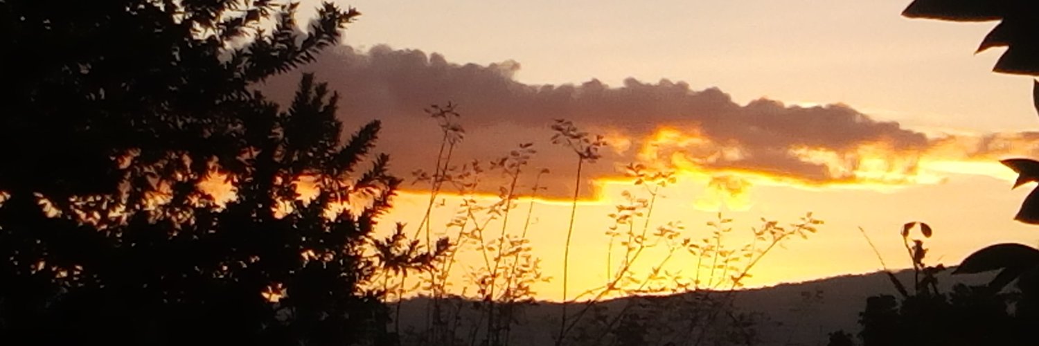 mlamba94's profile banner image