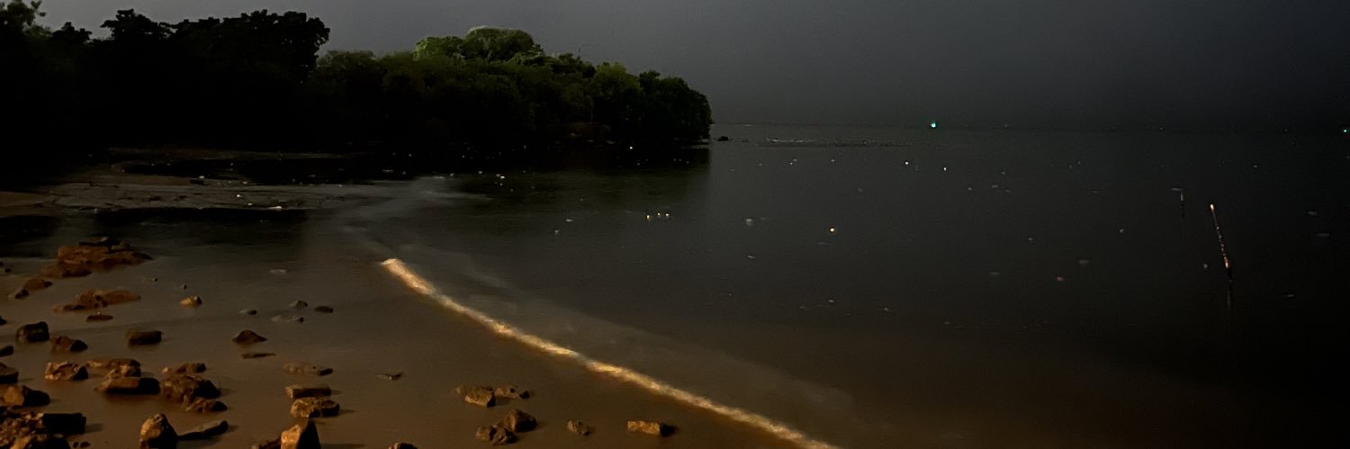 SommerGhool's profile banner image
