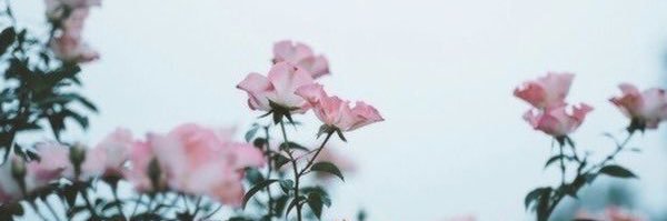 ChloeMdotM's profile banner image