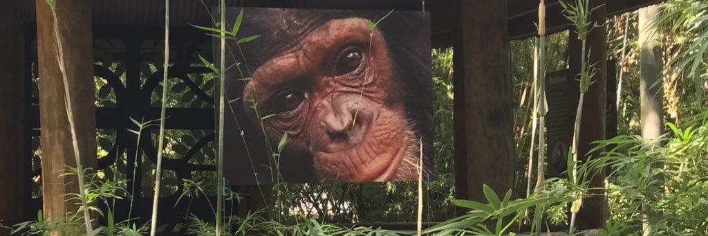 moniceja's profile banner image