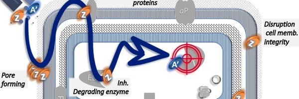 DreamNitsch Profile Banner