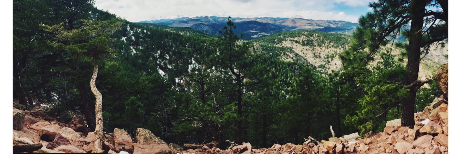 halie_krause's profile banner image