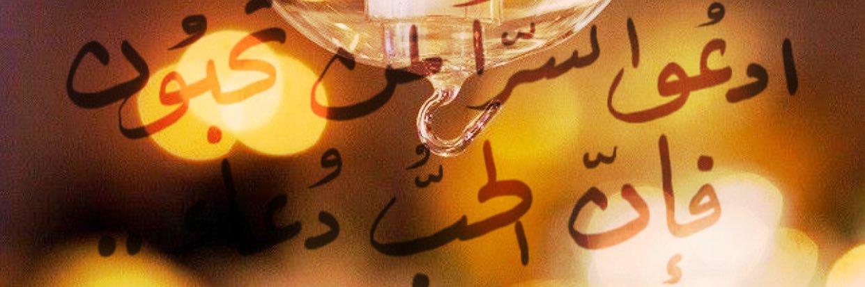 ommnoraa's profile banner image