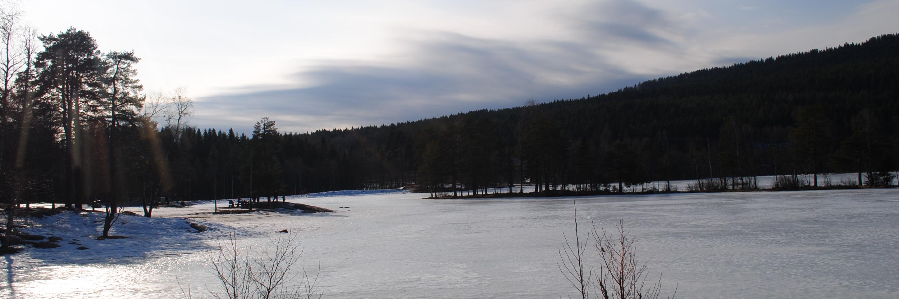 NavalMann's profile banner image