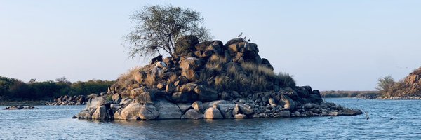 chidodc Profile Banner