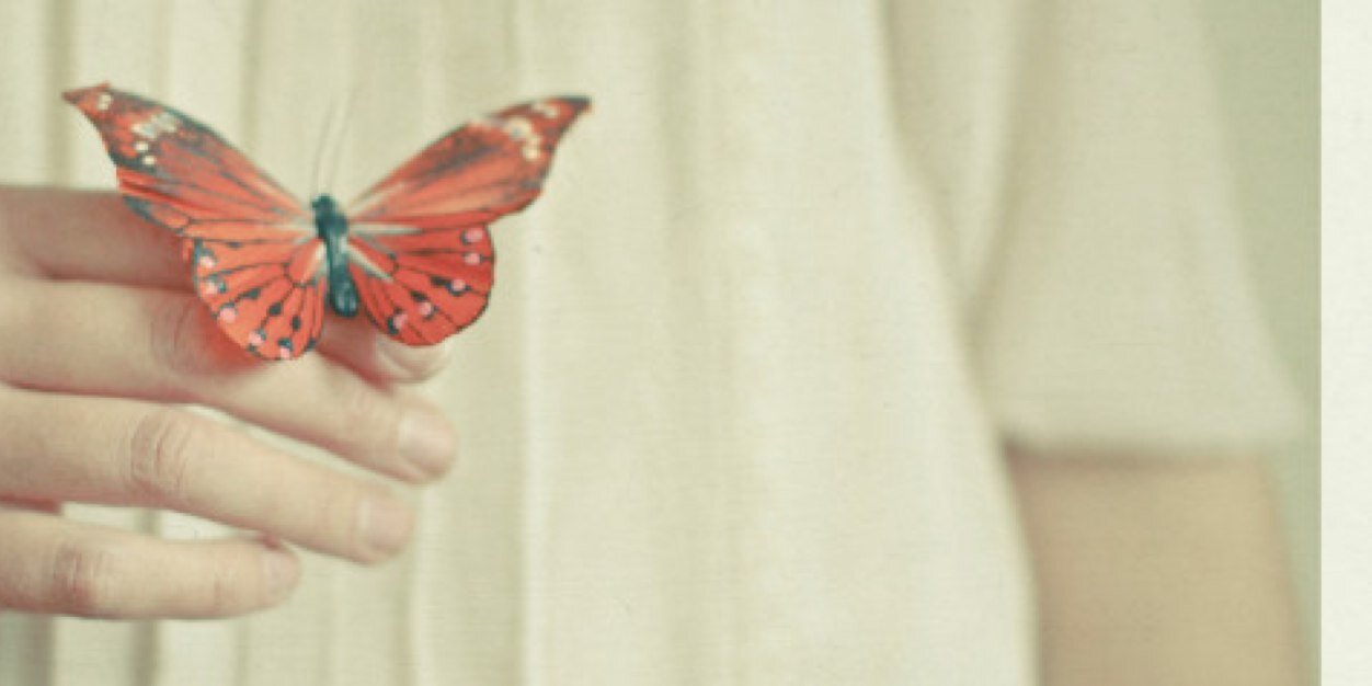 katiescott02's profile banner image