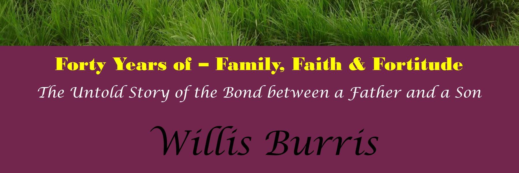 willobee9's profile banner image