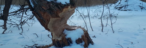 TiberiusB Profile Banner