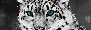 EstelleNicki's profile banner image