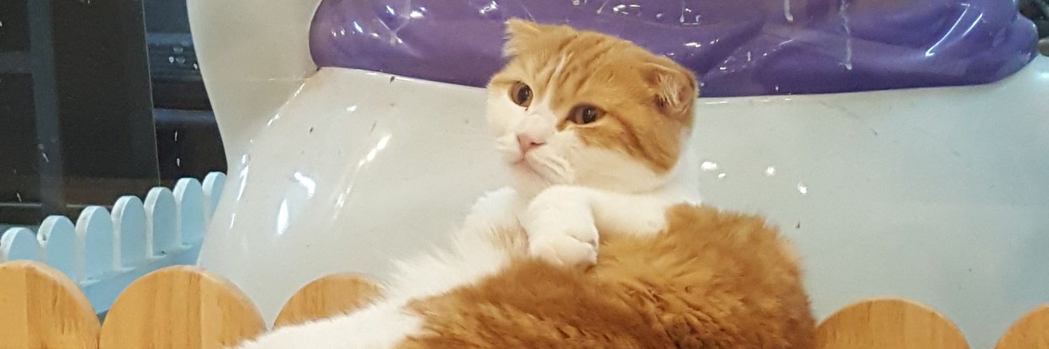blankjyx's profile banner image