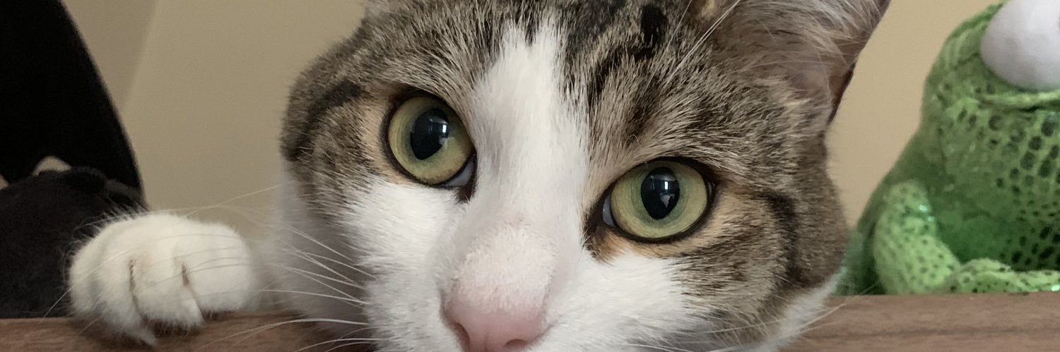 DwayneAmner's profile banner image