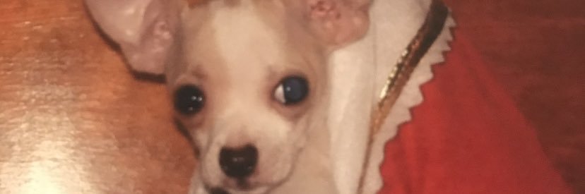 _JulzWrld's profile banner image