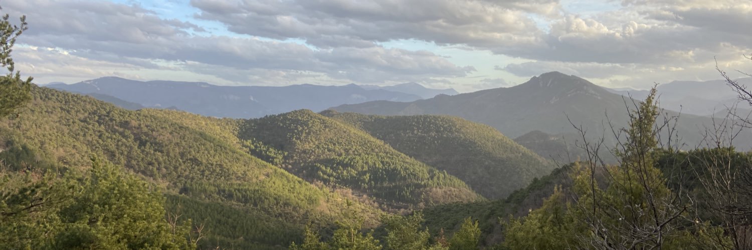 dswmt's profile banner image