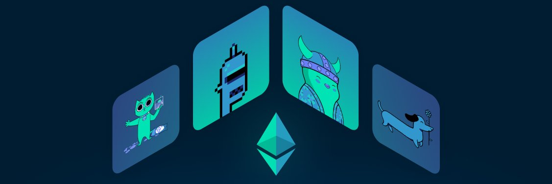 KiddoNFTTrader's profile banner image