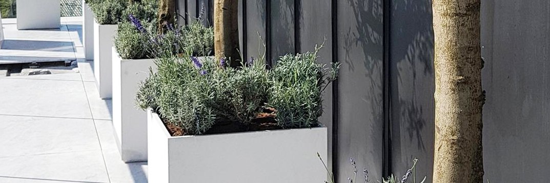BliveOutdoor's profile banner image