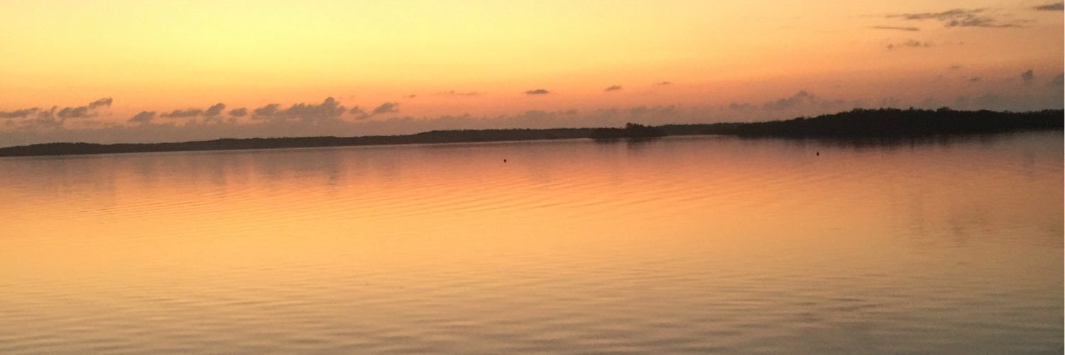 AlexHerriges's profile banner image