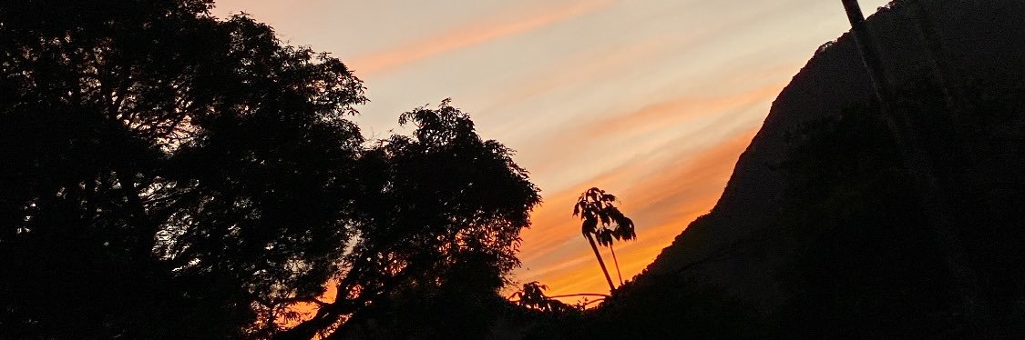 Renanssonância banner