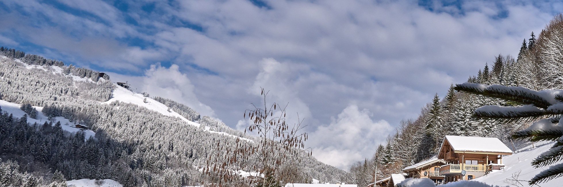 WhiteValleyCo's profile banner image