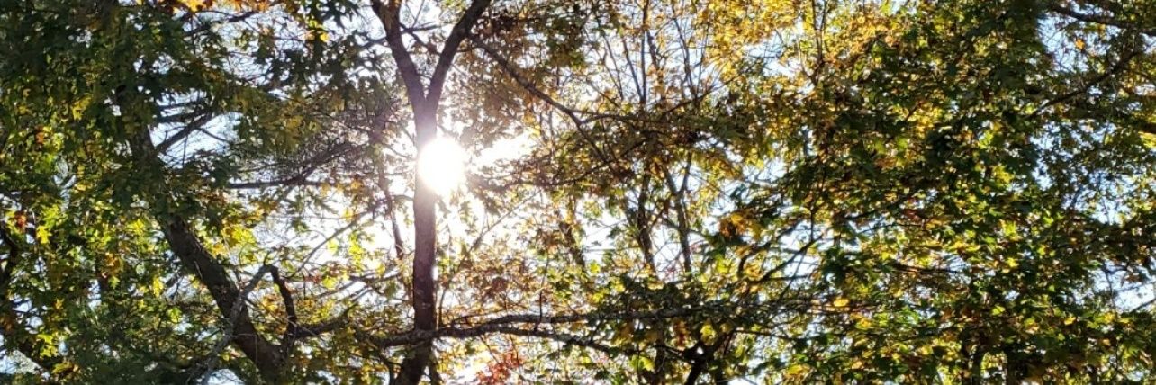 taylorwolfe_'s profile banner image