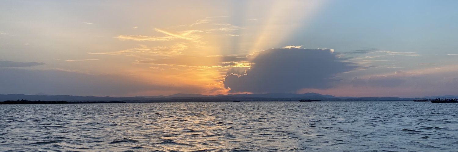 sariuuuuus's profile banner image