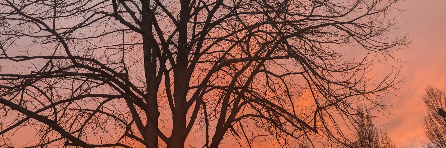 vicky_e_w's profile banner image