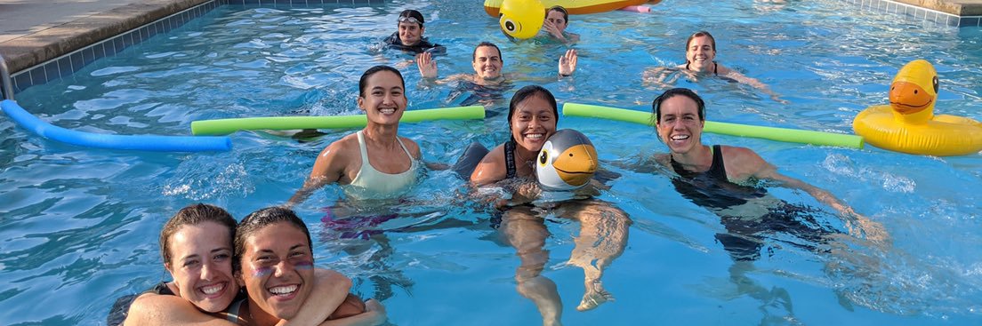 Iris Javersak banner