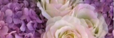 olgalusarria's profile banner image
