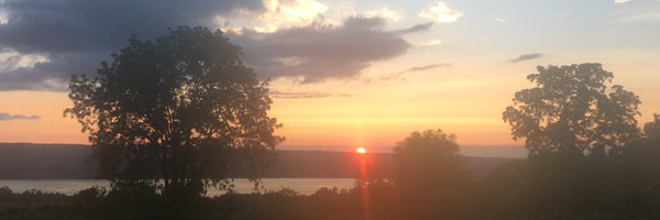 eandreacci Profile Banner