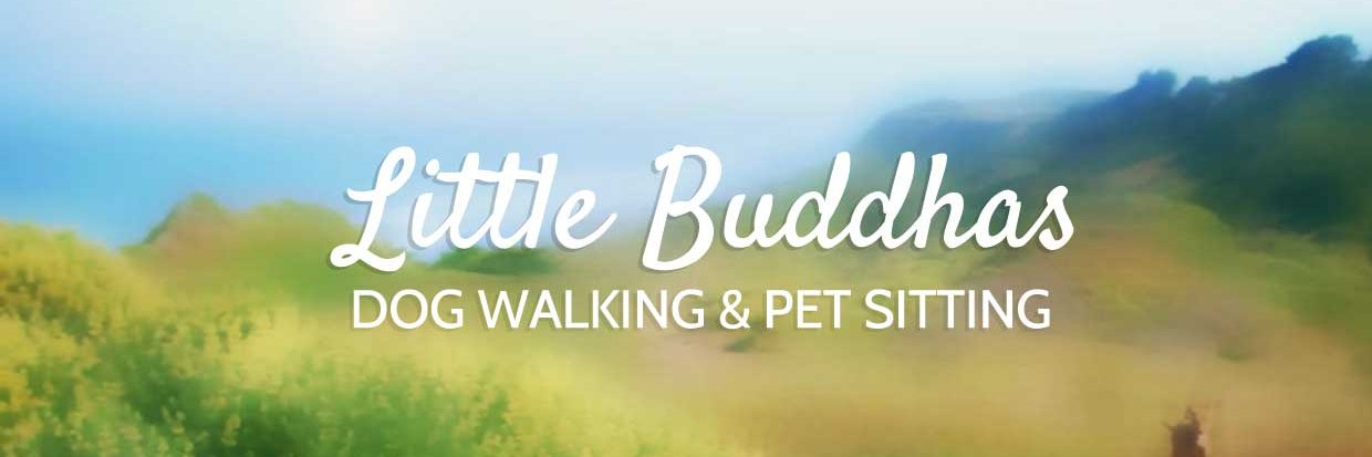 LittleBuddhas's profile banner image